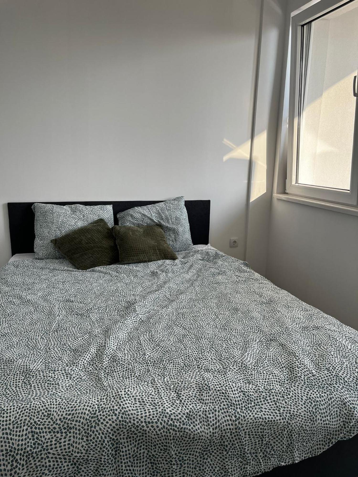 Radojkovic Lux Apartment Голубац Екстериор снимка